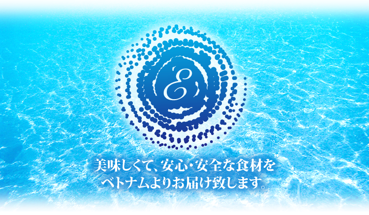 「メッセージ」美味しくて、安心・安全な食材をベトナムよりお届け致します。